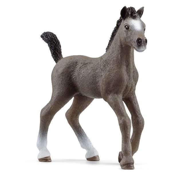 Bild von schleich® Horse Club 13957 Cheval de Selle Francais Fohlen
