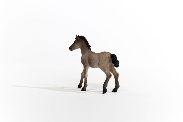 Bild von schleich® Horse Club 13949 Criollo Definitivo Fohlen