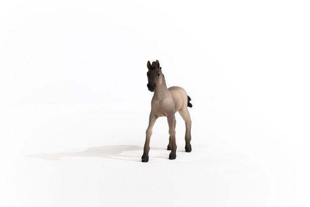 Bild von schleich® Horse Club 13949 Criollo Definitivo Fohlen