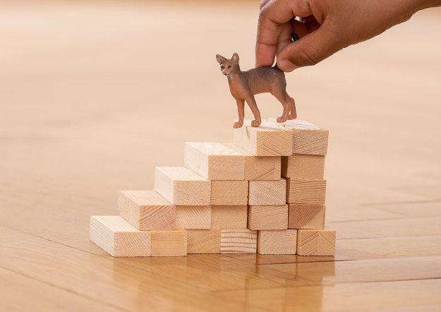 Bild von schleich® Farm World 13964 Abessinierkatze