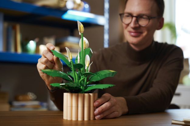 Bild von LEGO Botanicals - 11504 Friedenslilie