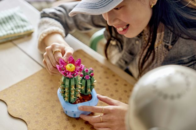 Bild von LEGO Botanicals - 11509 Blühender Kaktus