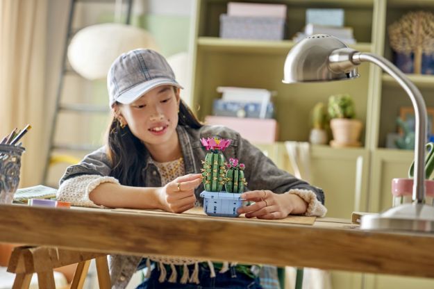 Bild von LEGO Botanicals - 11509 Blühender Kaktus