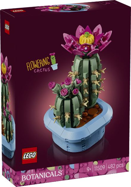 Bild von LEGO Botanicals - 11509 Blühender Kaktus