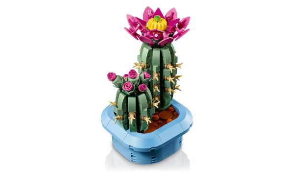 Bild von LEGO Botanicals - 11509 Blühender Kaktus