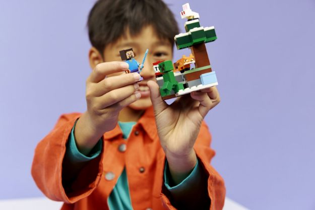 Bild von LEGO® Minecraft™ - 21583 Steves Abenteuer in der Taiga