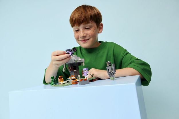 Bild von LEGO® Minecraft™ - 21586 Blasser Garten