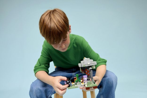 Bild von LEGO® Minecraft™ - 21586 Blasser Garten