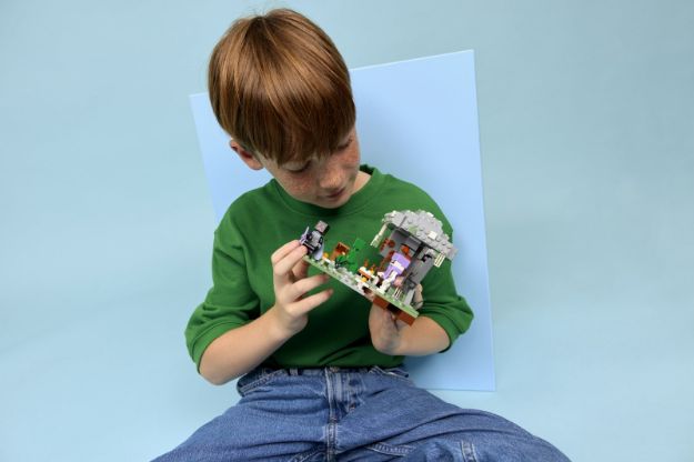 Bild von LEGO® Minecraft™ - 21586 Blasser Garten