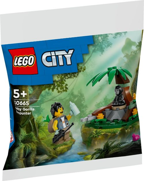 Bild von LEGO City Set 3 Polybag