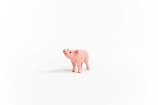 Bild von schleich® Farm World 13934 Ferkel
