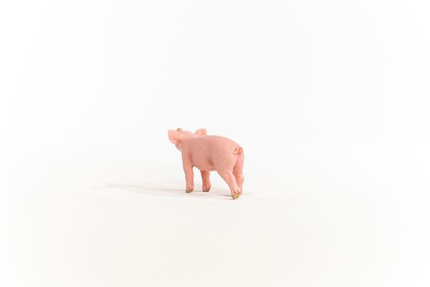 Bild von schleich® Farm World 13934 Ferkel