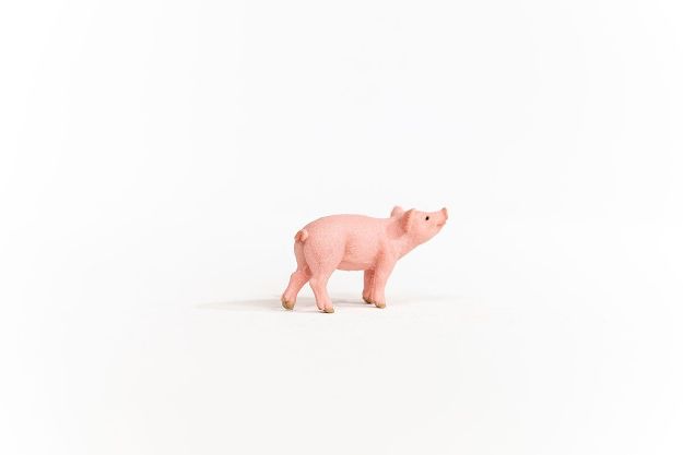 Bild von schleich® Farm World 13934 Ferkel