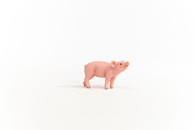Bild von schleich® Farm World 13934 Ferkel