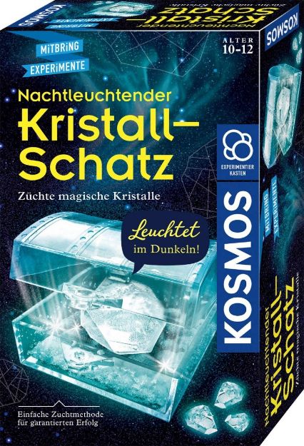 Bild von Nachtleuchtender Kristall-Schatz 10+ M-Experiment