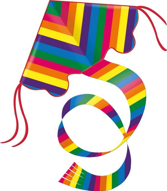 Bild von Günther Einleinerdrachen Rainbow, 97x58cm - 1159