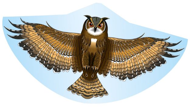 Bild von Eule Einleinerdrachen 122x68cm - 1193