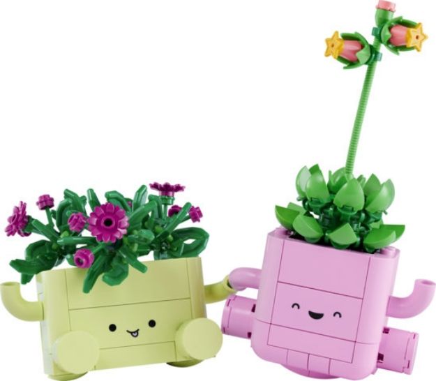 Bild von LEGO Botanicals - 11506 Schaukelnde Pflanzen