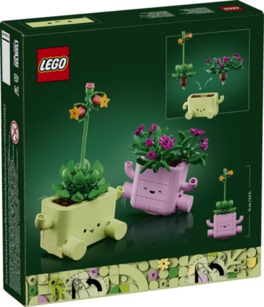 Bild von LEGO Botanicals - 11506 Schaukelnde Pflanzen