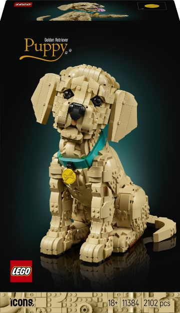Bild von LEGO® Icons - 11384 Golden Retriever Welpe