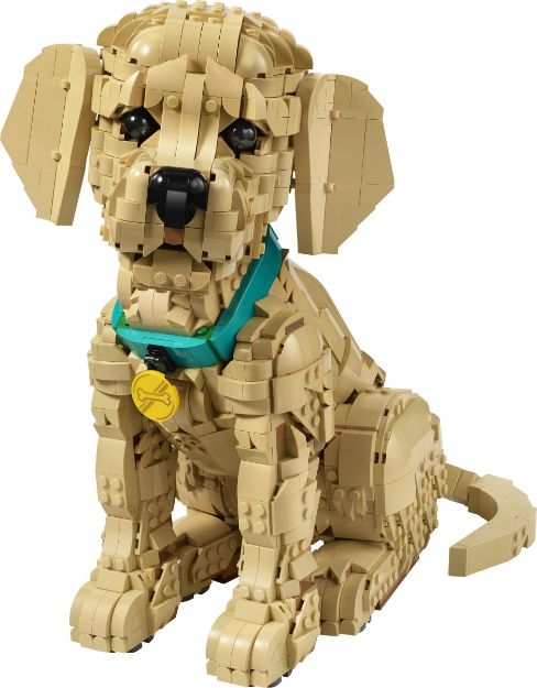 Bild von LEGO® Icons - 11384 Golden Retriever Welpe