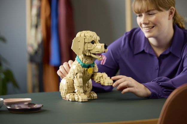 Bild von LEGO® Icons - 11384 Golden Retriever Welpe