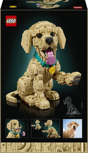 Bild von LEGO® Icons - 11384 Golden Retriever Welpe