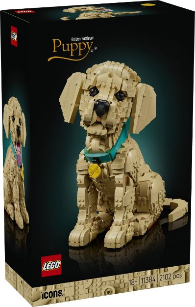 Bild von LEGO® Icons - 11384 Golden Retriever Welpe