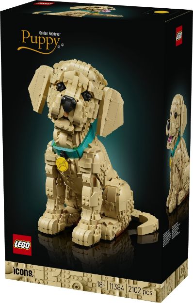 Bild von LEGO® Icons - 11384 Golden Retriever Welpe
