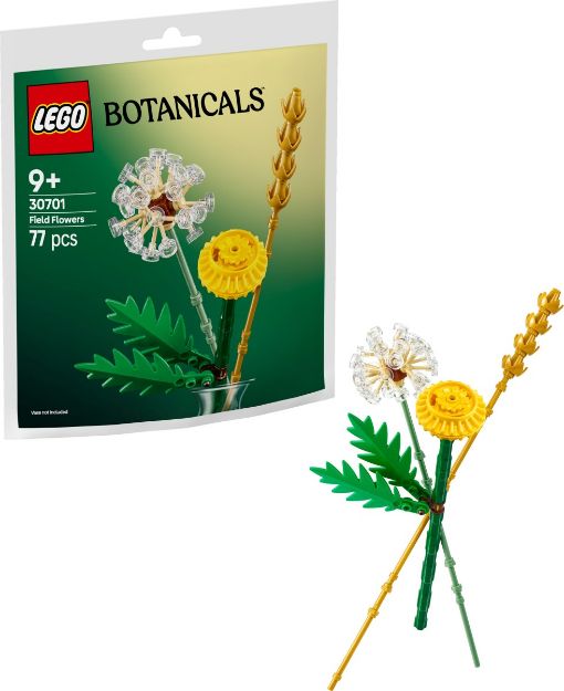 Bild von LEGO Polybag Botanicals Set 1