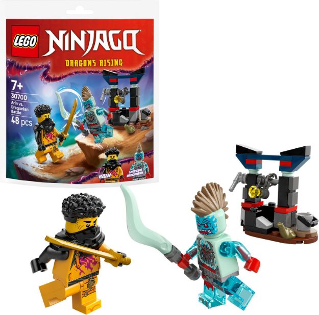 Bild von LEGO Polybag Ninjago Arins Duell mit Drachenmens.