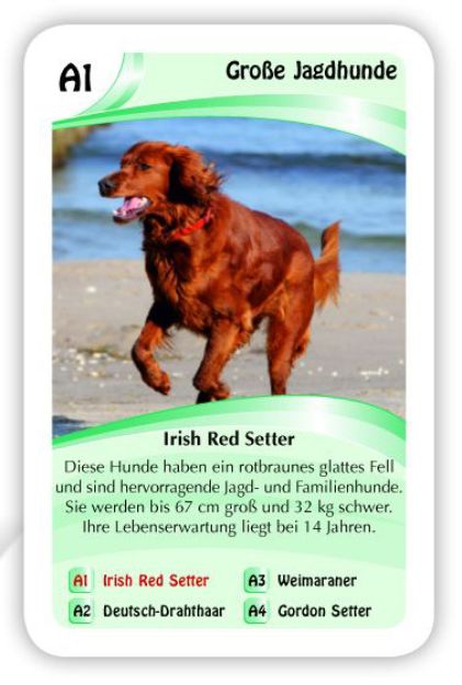 Bild von ASS Quartett Hunde - 22572085